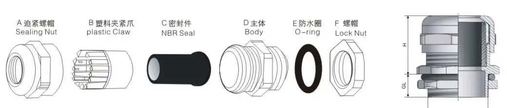 The Structure Diagram of Longer Thread Cable Gland