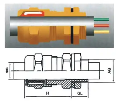 VIOX Explosion-Proof Cable Gland dimension