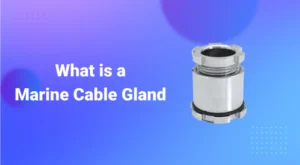 What Is a Marine Cable Gland_