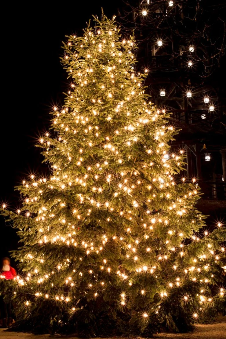 christmas tree lights