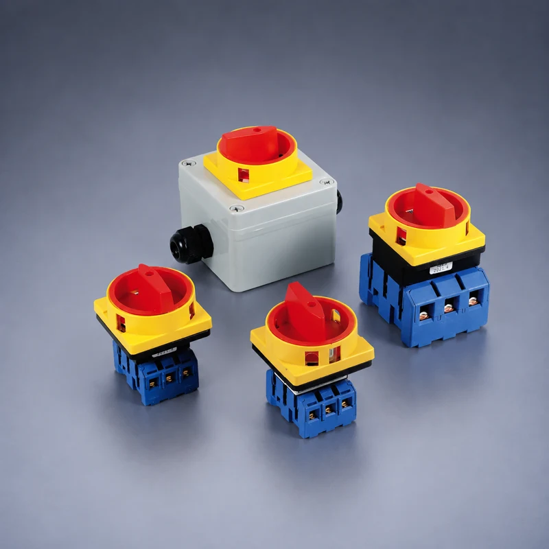 LW30 Load Disconnect Switch 20A–100A